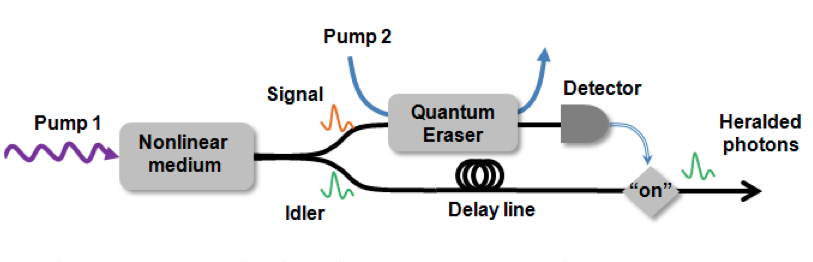 NSF_schematic